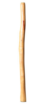 Medium Size Natural Finish Didgeridoo (TW1634)
